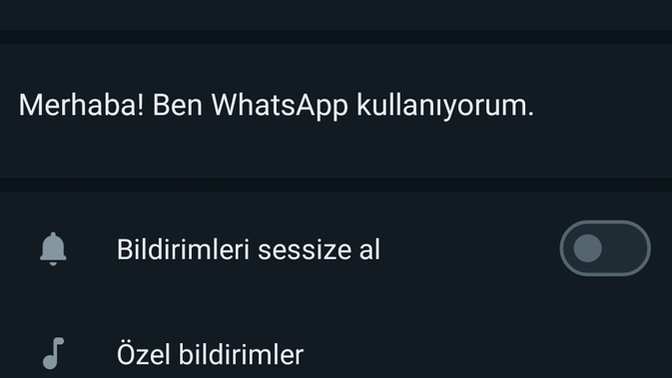 Bu numara sizi de aradı mı?
