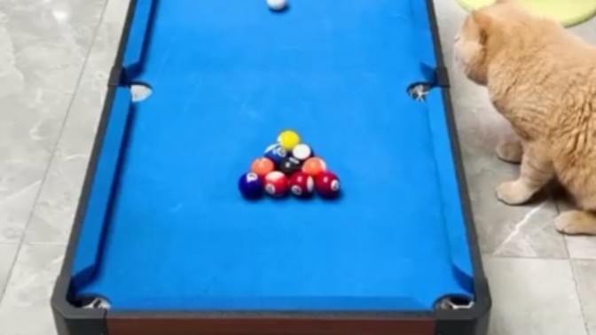 Kadınlar erkeklerden daha iyi bilardo oynayabilir mi?