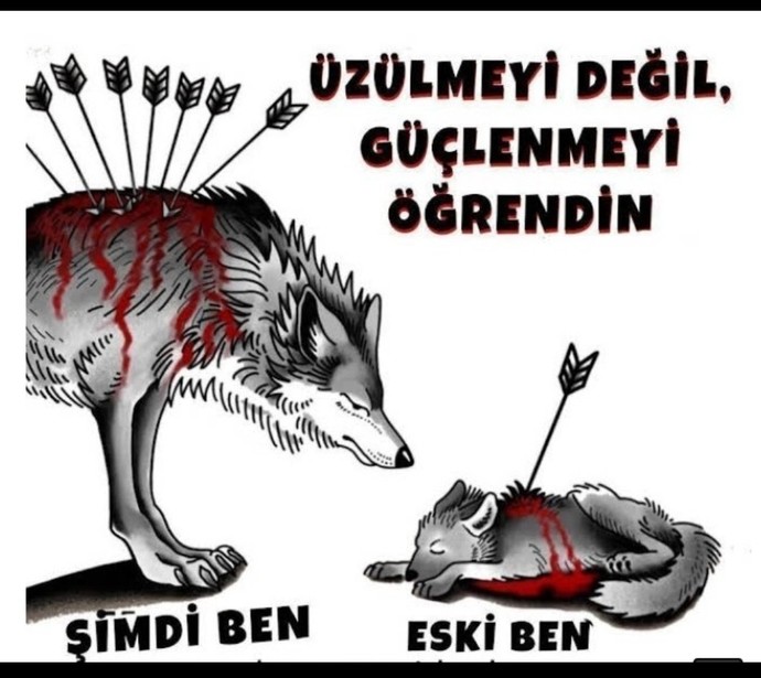 Siz ne kadar sevdiniz?