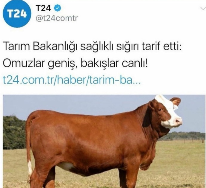 Karşı cinste ilk aradığınız özellik nedir?
