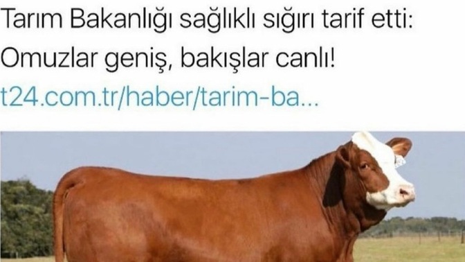 Karşı cinste ilk aradığınız özellik nedir?