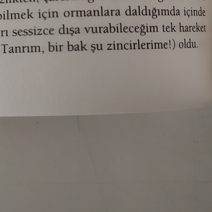 Neden bir yaratıcıya ihtiyaç duyarız?