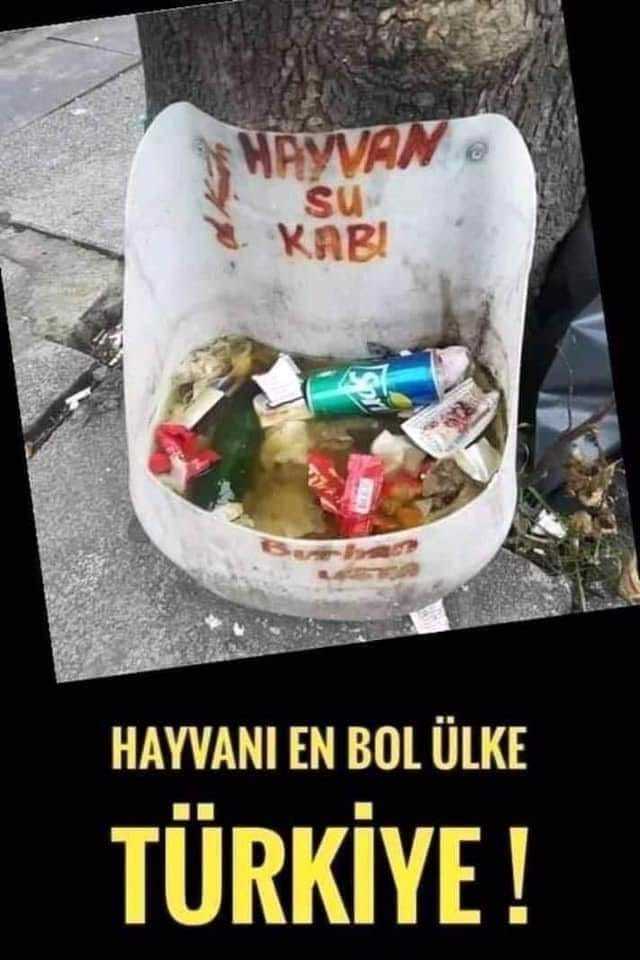 #nirhamm 🔴 🔴 🔴 🔴