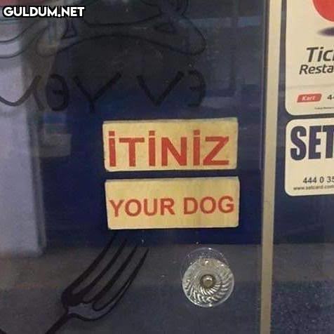 Gördüğünüz en garip yazım/anlam yanlışı neydi?