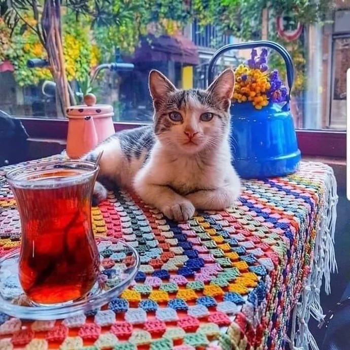 Çayını yalnız mı içersin, biriyle mi?