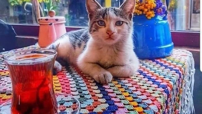 Çayını yalnız mı içersin, biriyle mi?