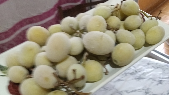 Üzümü buzluğa atıp yemeyen de ne bileyim 😂 size bu tabakla misafirliğe gelseydim tepkiniz ne olurdu peki?