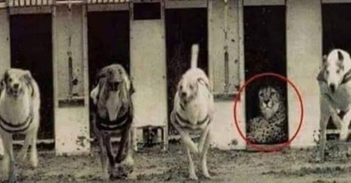 Bir erkeğin, hayatına aldığı kadını incitmekten korkmasının en önemli nedeni nedir?