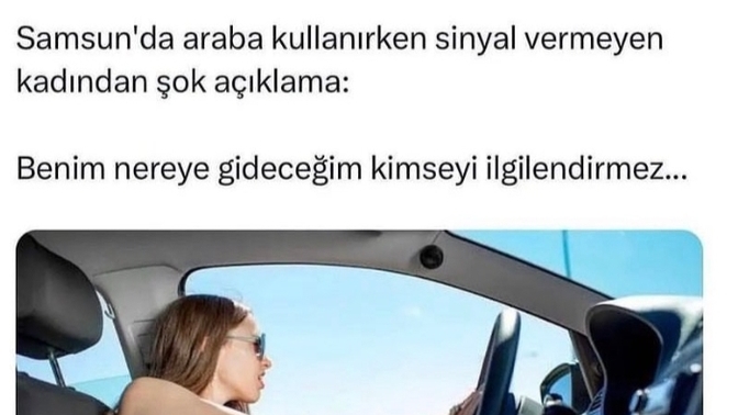 Araba kullanmayı seviyor musun?