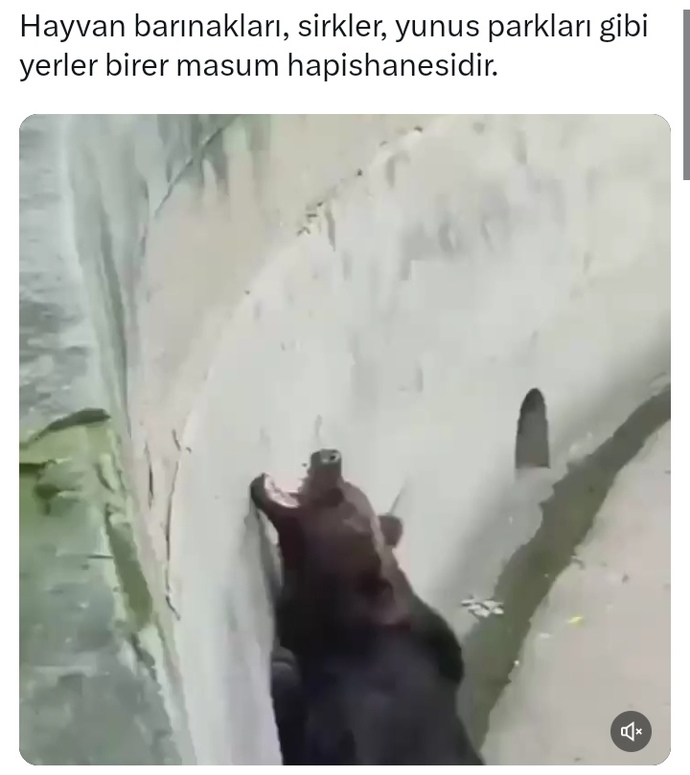 #nirhamm 🔴 🔴 🔴 🔴