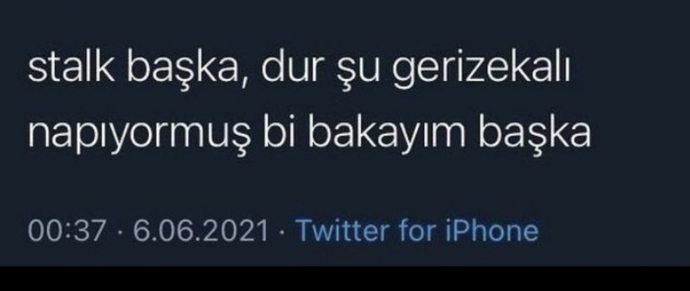 Ayrıldığınız ex'in sosyal medya hesaplarına bakmak meraktan mıdır yoksa unutamamaktan mı?