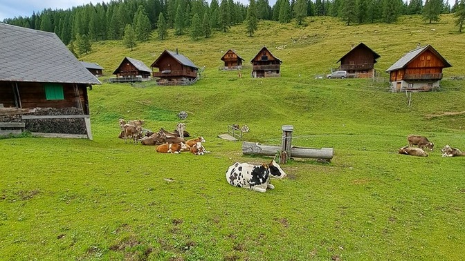 Böyle bir yerde yaşayabilir misiniz?