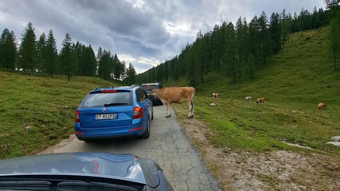 Yolda başınıza gelen en ilginç ya da  en kotu, en tuhaf şey nedir?