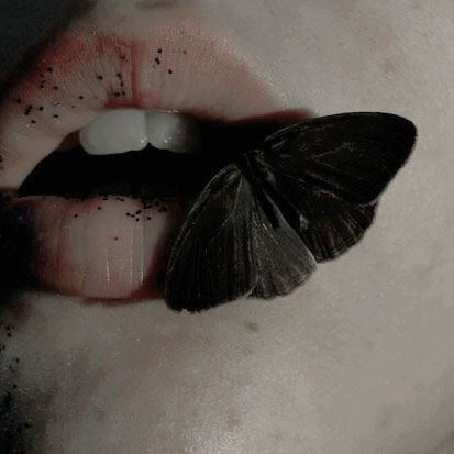 🦋Her şey bir şeyleri etkiler 🦋