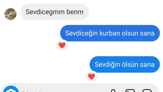 Bana bunları yazan kız iki gün sonra hayatımda başka biri var beni bir daha rahatsız etme diye mesaj attı yorumunuz nedir?
