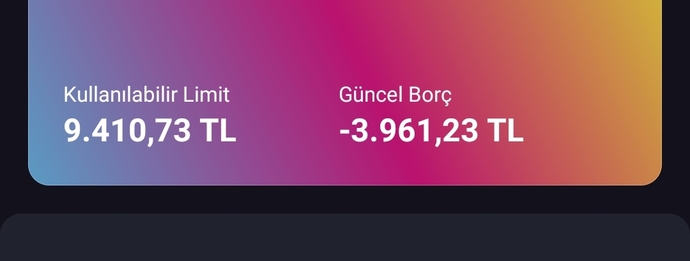 Şu an ne kadar borcunuz var?
