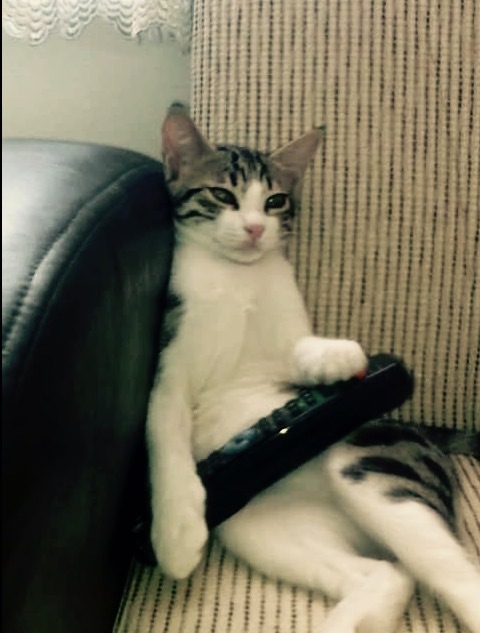 Bu oturuş normal mi?