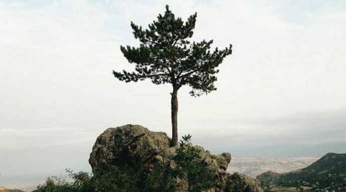 İnsanlardan uzaklaşıp izole bir yaşam sürmek mümkün mü?