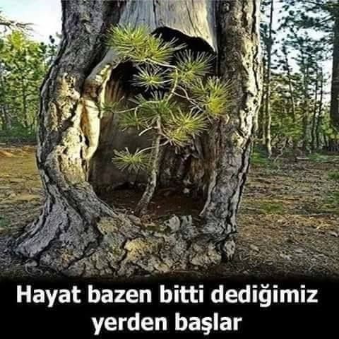 Hayatınız nereye doğru gidiyor?
