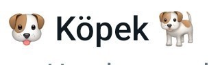 Sevdiceğinizi telefona nasıl kaydederdiniz?
