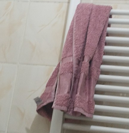 Şu havlunun kalitesine bakar mısınız, Pariste her şey böyle kaliteli. Siz nerde yaşıyorsunuz?