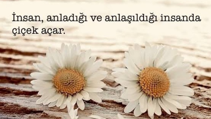 Hayatınızda sizi anlayan birileri var mı?