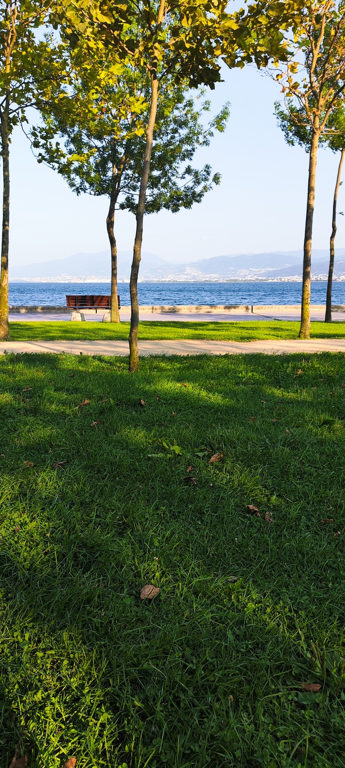 Buyrun alalımm anlıkk?