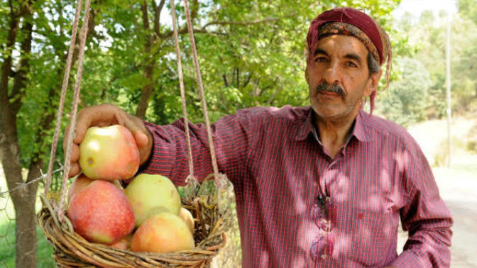 Ağacın altında duran meyvesini yer. En son hangi meyveyi yediniz?
