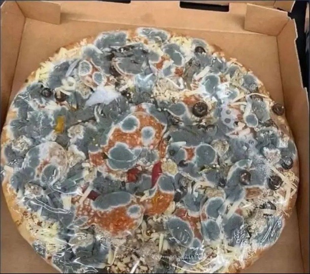 Bu Pizzayı yesem sorun olur mu?