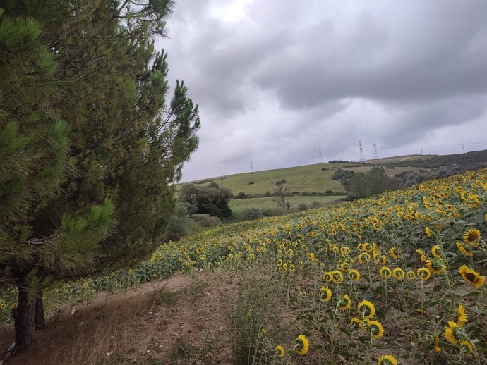 Doğa fotoğrafları çekmeyi seviyor musunuz?