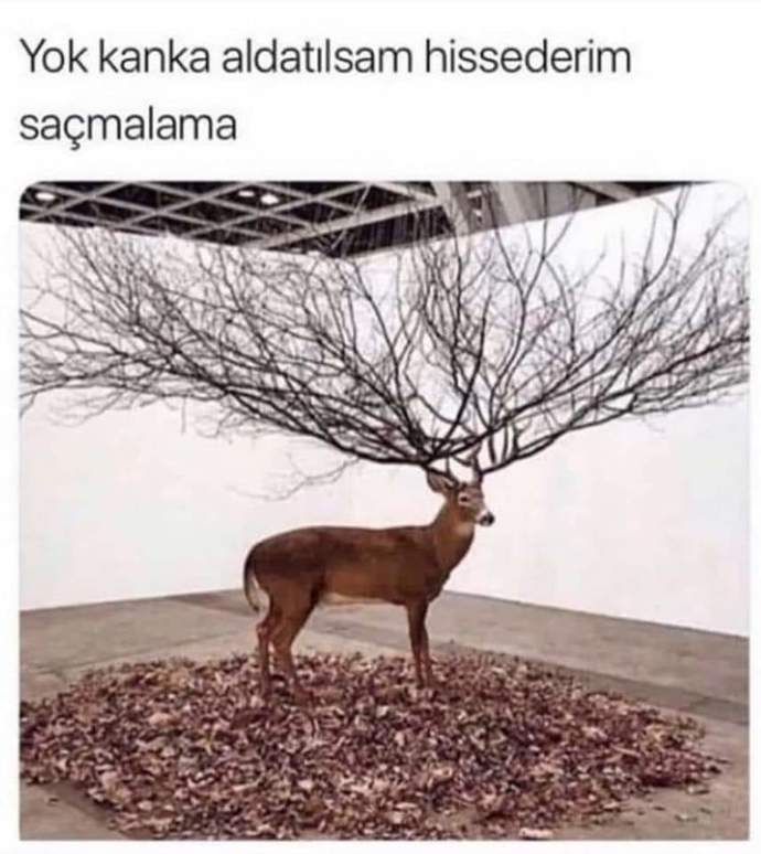 Aldatılsanız fark eder misiniz?
