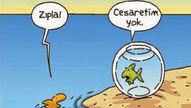 Korkak mısın, cesur mu?