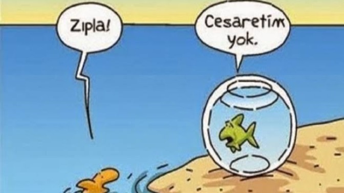 Korkak mısın, cesur mu?