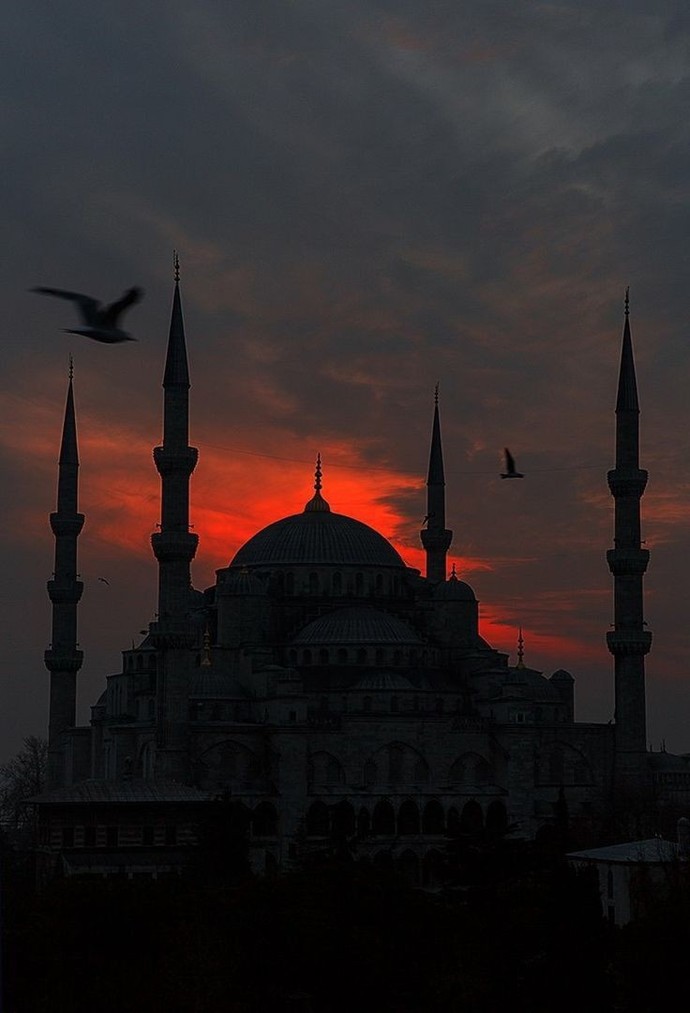 Selamızı duyacağız..