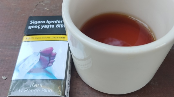 Ne yapıyosunuz millet?