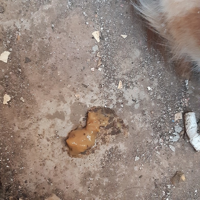 Kakası (üzgünüm koymam gerekiyordu)