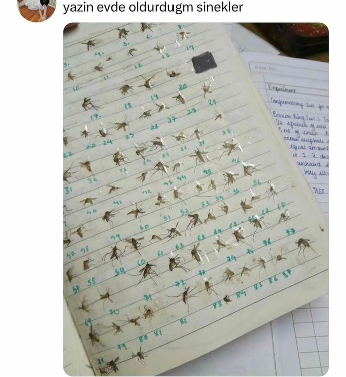 Koleksiyon yaptığınız bir şey var mı?
