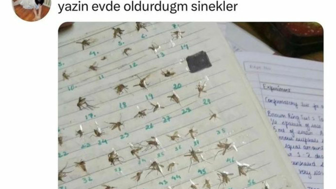Koleksiyon yaptığınız bir şey var mı?