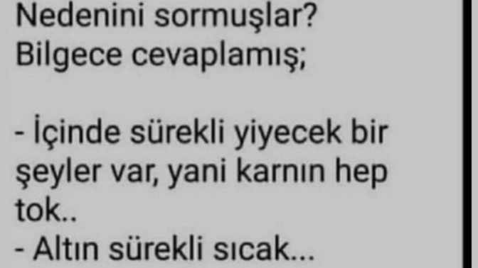 Bir daha dünyaya gelme şansın olsa ne olarak gelmek isterdin?