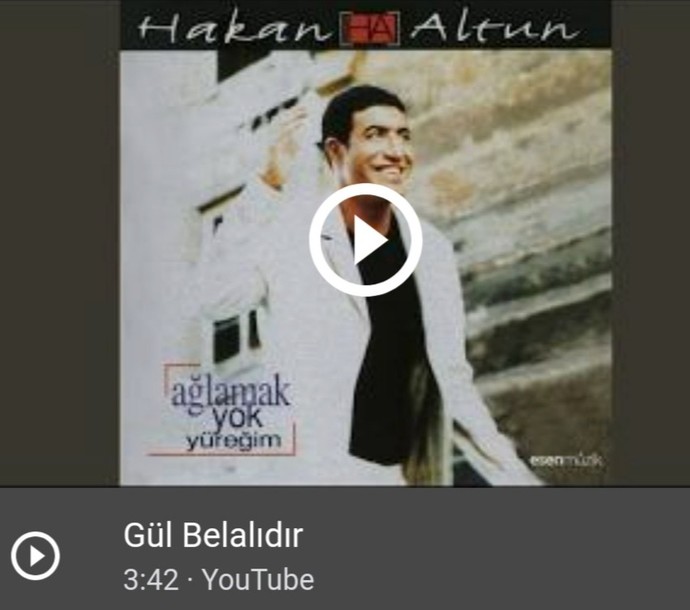 Hangi şarkıcıyı ve şarkısını seviyorsunuz?