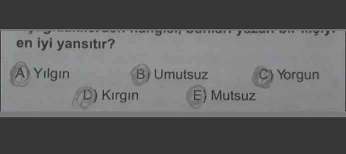 Görselde son durumunuzu anlatan cevap hangisi?