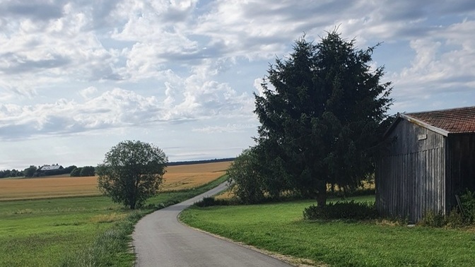Kondisyonunuz ne durumda KS Canlar?