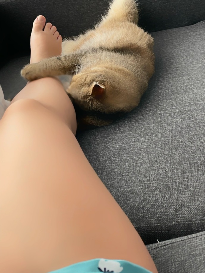 Kedisi olanlar çok şanslı değil mi?