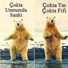 Sizinle cerez paylasir miydim soyleyeyim mi😌?