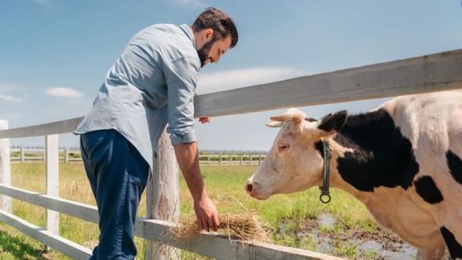 Sevgilimi çok seviyorum ama ailesinin köylü olduğunu öğrendim. Kafam karışıyor, ne yapmalıyım?