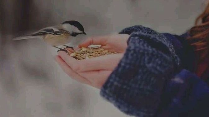 Seni görünce zihnimde ne canlanıyor diyim mi?