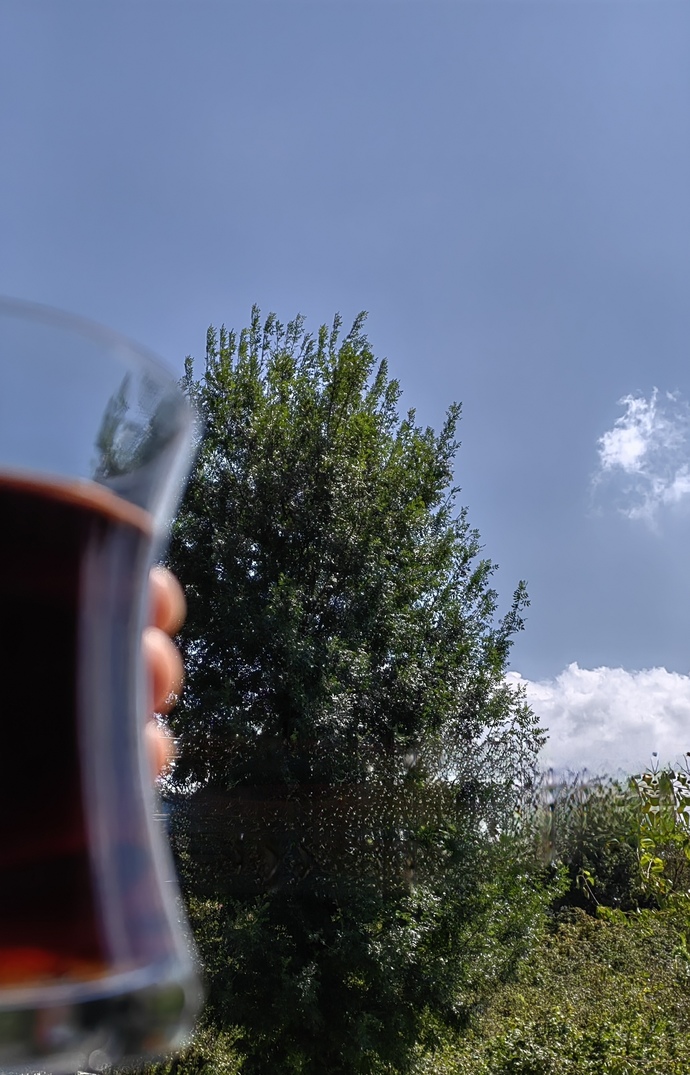 Çay içmeden bir gün durabilir misin?