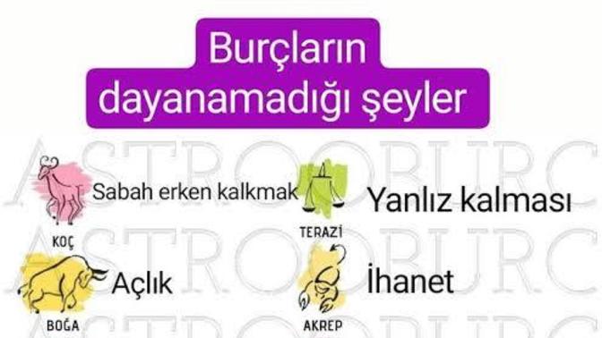 Burcuna göre nelere dayanamıyorsun?
