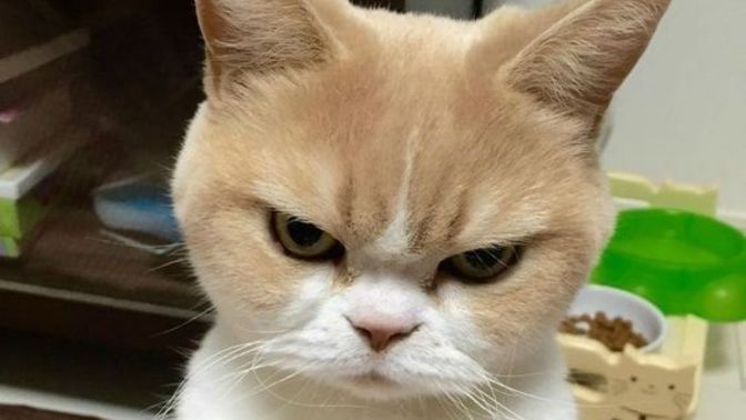 Yaz sıcakları sizi de sinirli yapıyor mu?
