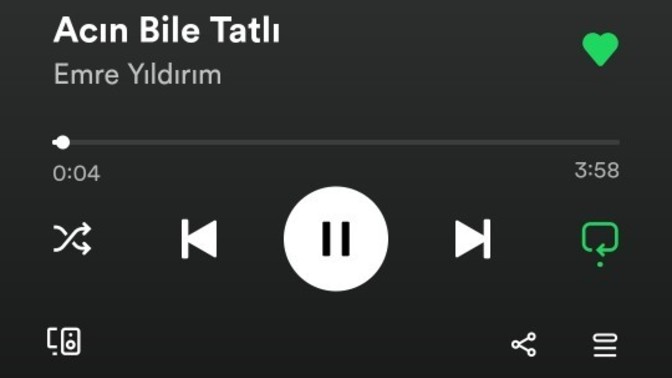 Sıkılmadan dinleyeceğiniz bir şarkı var mı?